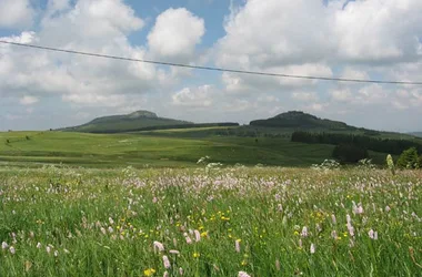 Gîte Pleine Nature – Brun Philippe