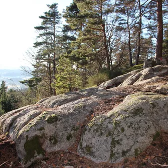 La Roche Druidique de Crouzilhac