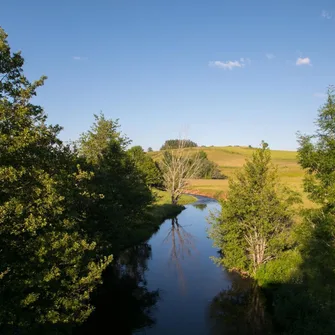 Détour en sous bois à travers les Roches