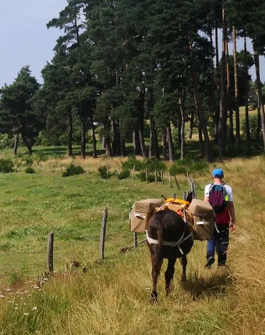 Randonnée avec un âne