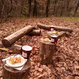 Eco-tours  “Balade : Les bienfaits de la forêt”