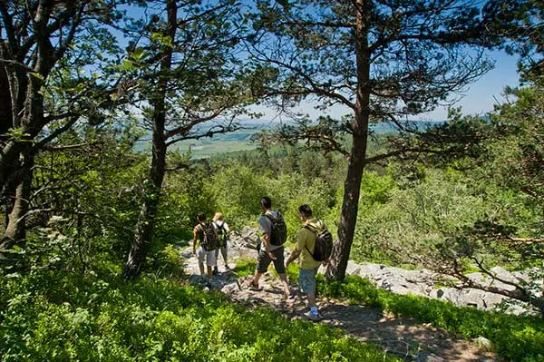 Rando du Haut-Lignon