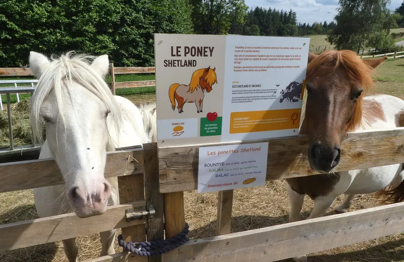 ACT-Ludoparc animalier La Clairière-poneys