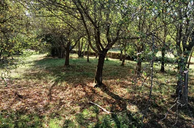 EQUI-Arboretum de Charvols-Waldgebiet