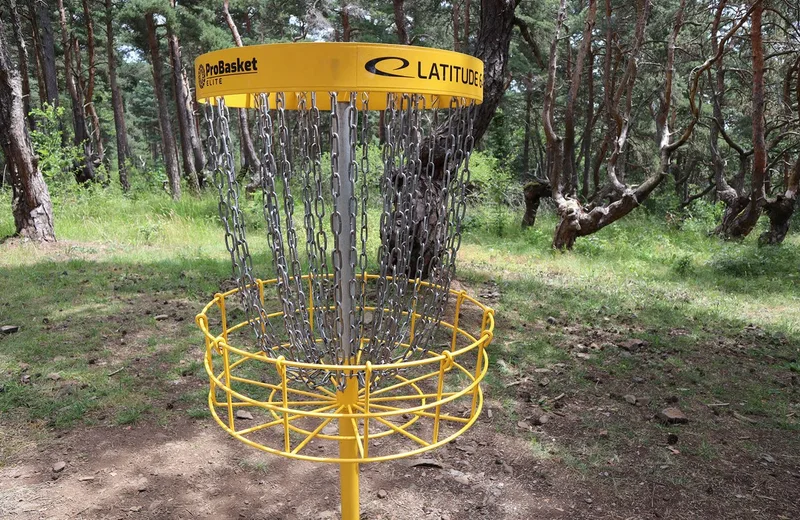 Disc Golf