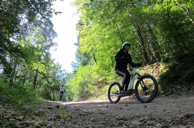 Solo downhill scooter.JPG