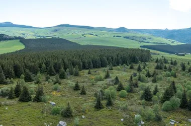 Site d’escalade du Rocher Tourte