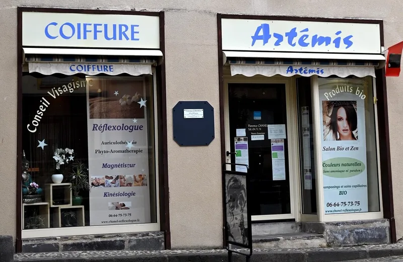 Artemis Coiffure