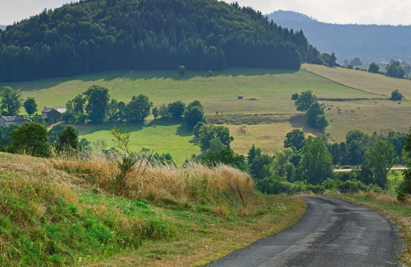 PR133 Vers le suc du Mounier