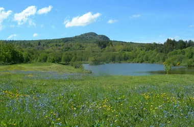the ponds of Moulins du Bouchat