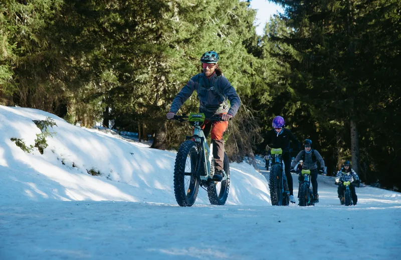 winter electric mountain bike