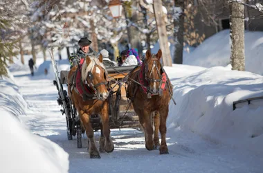 Winter carriages