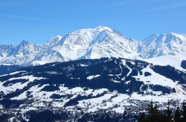Mont Blanc from Rochebrune