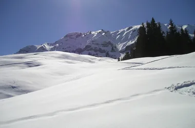 Прогулка на снегоступах Ле Стиард