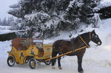 Carriage in winter
