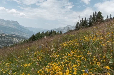 Itinéraire rando : le Mont d’Arbois – Mont Joux