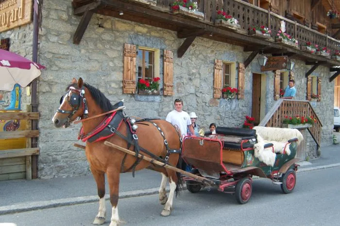 Promenades en calèche et visite des écuries