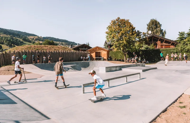 overall view skate park