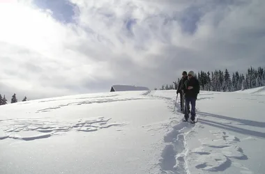 прогулка на снегоступах