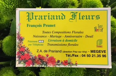 Prariand-flowers