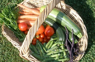 basket_vegetables