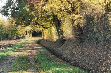 Randonnée – Les vallons de la Bénèche