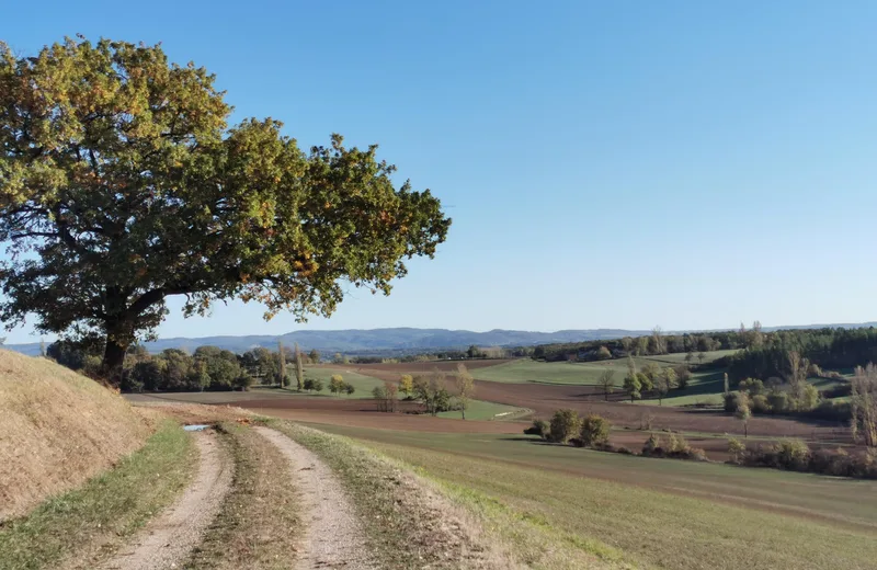 Randonnée – Les vallons de la Bénèche