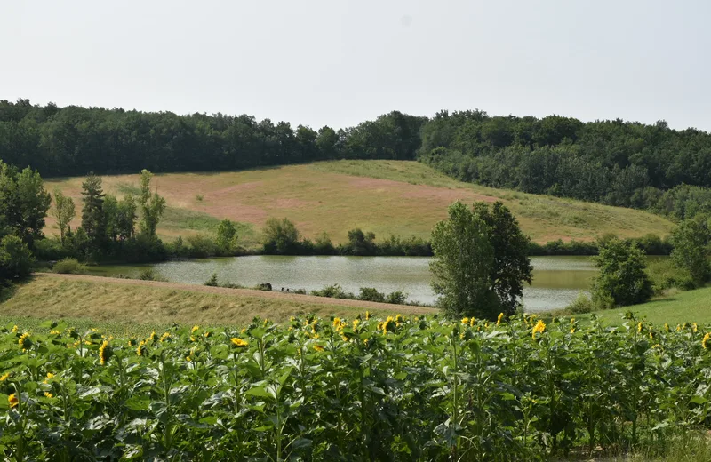 Circuit de la Forêt PR3 Génébrières