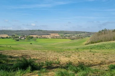 Circuit de la Forêt