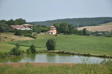 Circuit de la Forêt