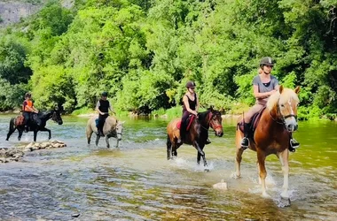 Randonnée équestre “rando baignade rivière”