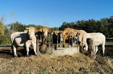 Randonnée – Les vallons de la Bénèche