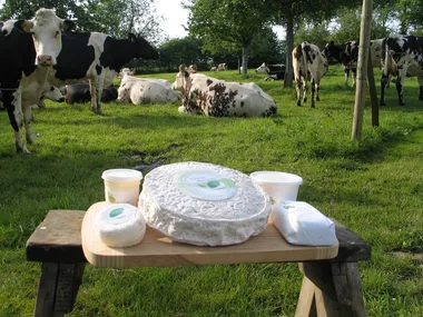 Marché à la ferme “Les Prés d’Artemare”