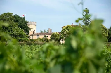 Chateau Peybonhomme Les Tours Blaye Côtes de Bordeaux Cars 800x600