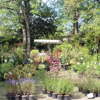 Jardins d’automne à Blaye