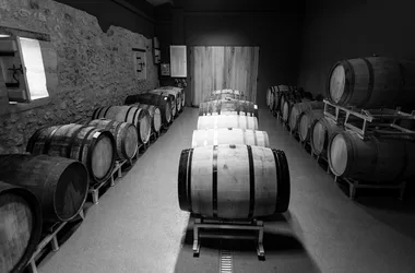 chateau magdeleine bouhou cars vineyard blaye Côtes de Bordeaux©cyrilgarrabos2021_3