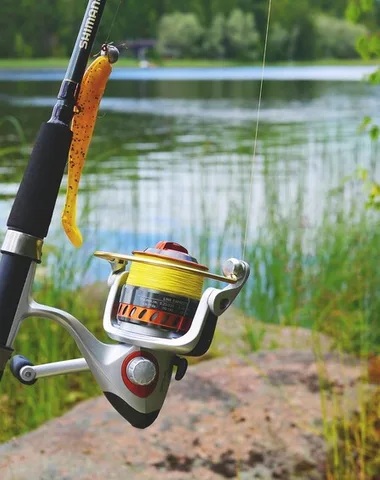 Découverte de la pêche au carnassier