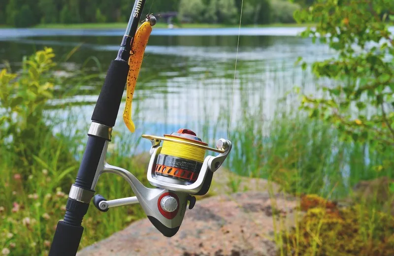 Découverte de la pêche au carnassier