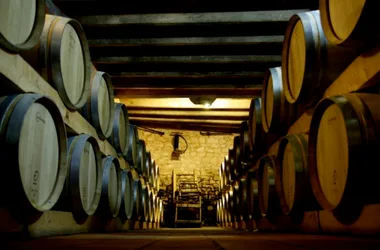 chateau-fredignac-vineyard-Blaye-cotes-de-bordeaux-st-martin-lacaussade-800x600