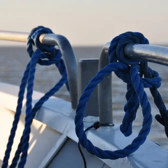 Croisière thématique avec escale sur l’Île Patiras