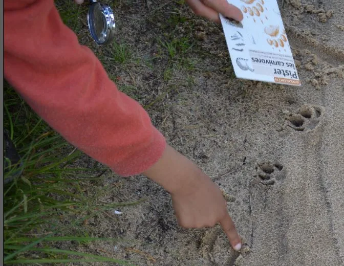 Atelier nature ‘Traces et empreintes des animaux’