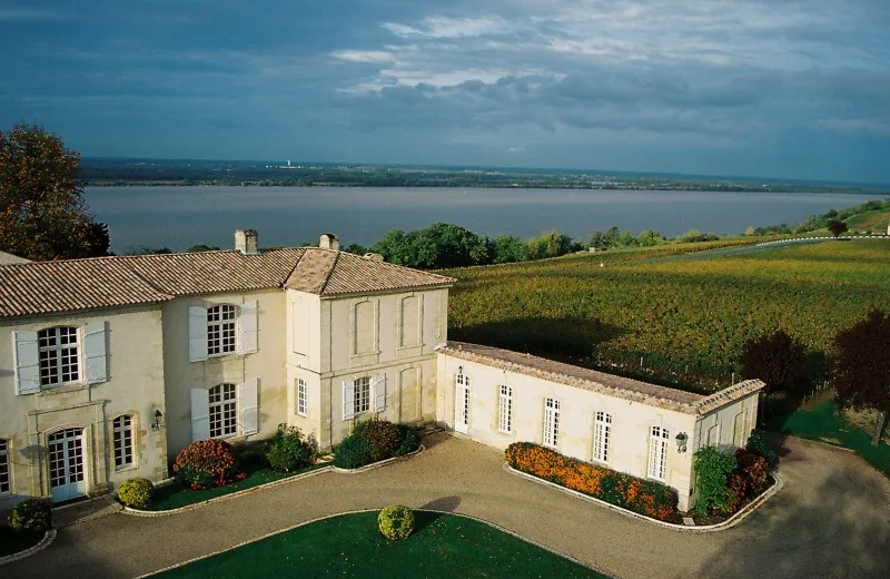 Viñedo Château Eyquem Côtes de Bourg Bayon 800x600