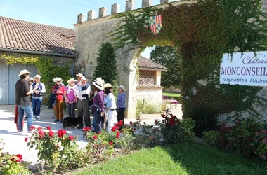 chateau-monconseil-gazin-vineyard-blaye-cotes-de-bordeaux--800x600