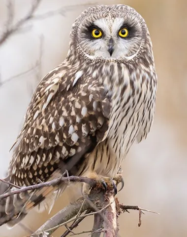 Exposition “Concours photos” à Terres d’Oiseaux