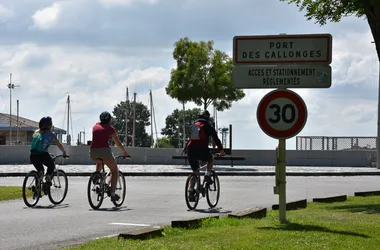 Activité Terres d'Oiseaux - Vendredi vélo - 800x600