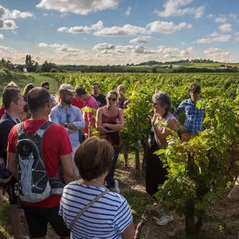 Vinobalades : dîner chez le vigneron au Clos de Castets