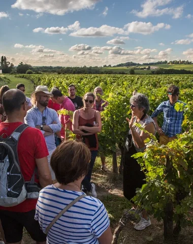 Vinobalades : dîner chez le vigneron au Clos de Castets