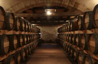 Château Eyquem vineyard Côtes de Bourg cellars Bayon 800x600