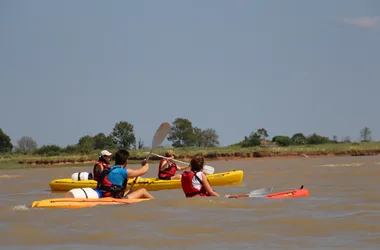excursiones en kayak