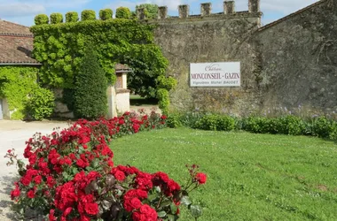 chateau-monconseil-gazin-vineyard-Blaye-cotes-Bordeaux-plassac-800x600